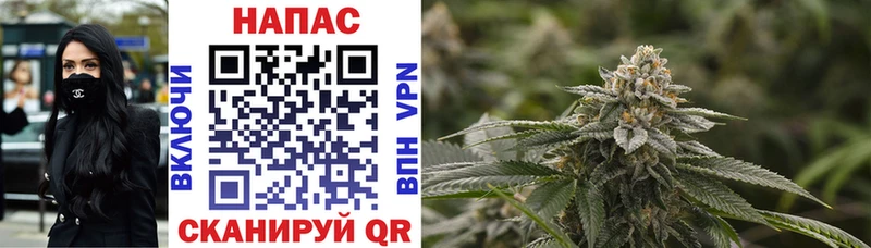 Шишки марихуана White Widow  Бузулук 